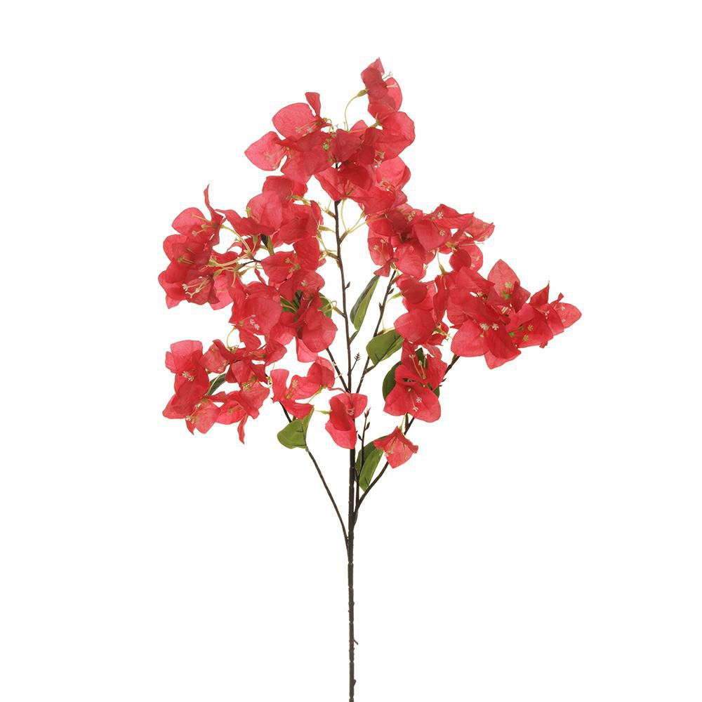 BOUGANVILLEA SPRAY 5X CM.91 ROSSO BOUGANVILLEA SPRAY 5X CM.91 ROSSO