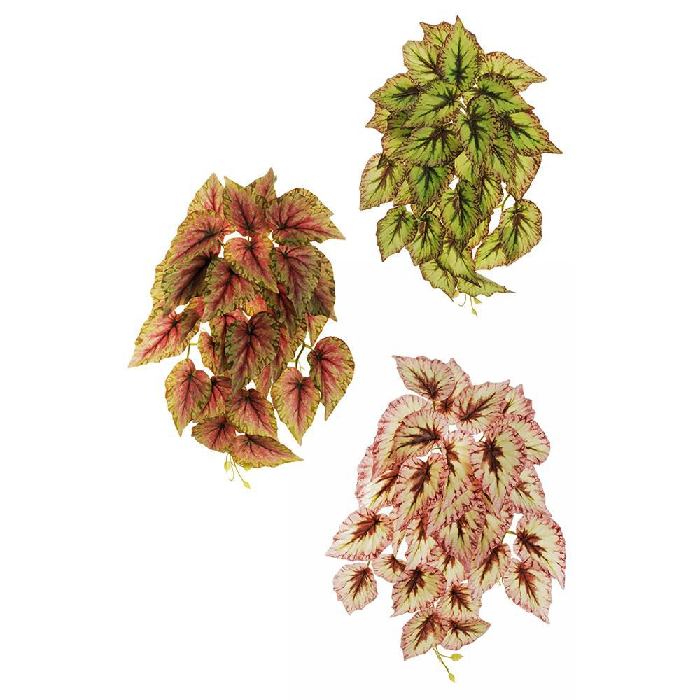 SET 3 BEGONIA BUSH CADENTE CM.53 VERDE/MARRONE/BURGUNDY