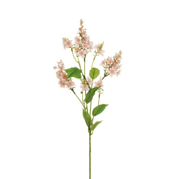 DITTAMO SPRAY 4X CM.82 ROSA DITTAMO SPRAY 4X CM.82 ROSA