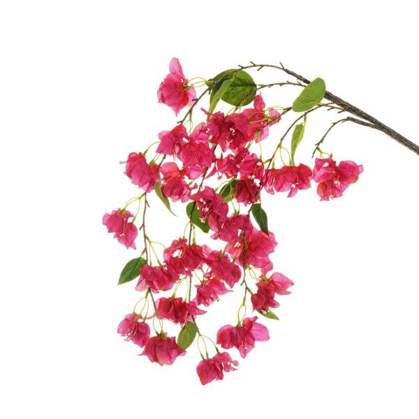 BOUGANVILLEA RAMO CADENTE GOMMATO CM.120 FUXIA BOUGANVILLEA RAMO CADENTE GOMMATO CM.120 FUXIA