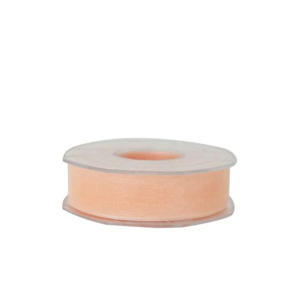 NASTRO ORGANZA 25MM 50MT H.Q. SALMONE CHIARO NASTRO ORGANZA 25MM 50MT H.Q. SALMONE CHIARO