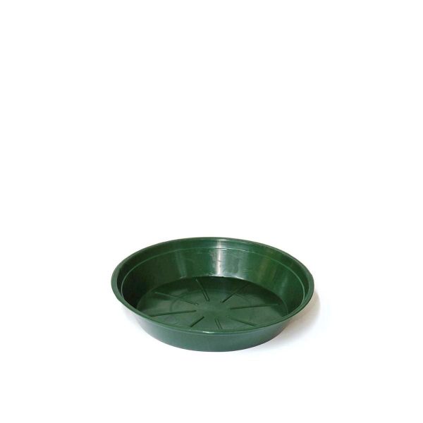 SOTTOVASO PLASTICA TONDO D.12 CM H.2,8 CM CONF.PZ.100 VERDE SOTTOVASO PLASTICA TONDO D.12 CM H.2,8 CM CONF.PZ.100 VERDE