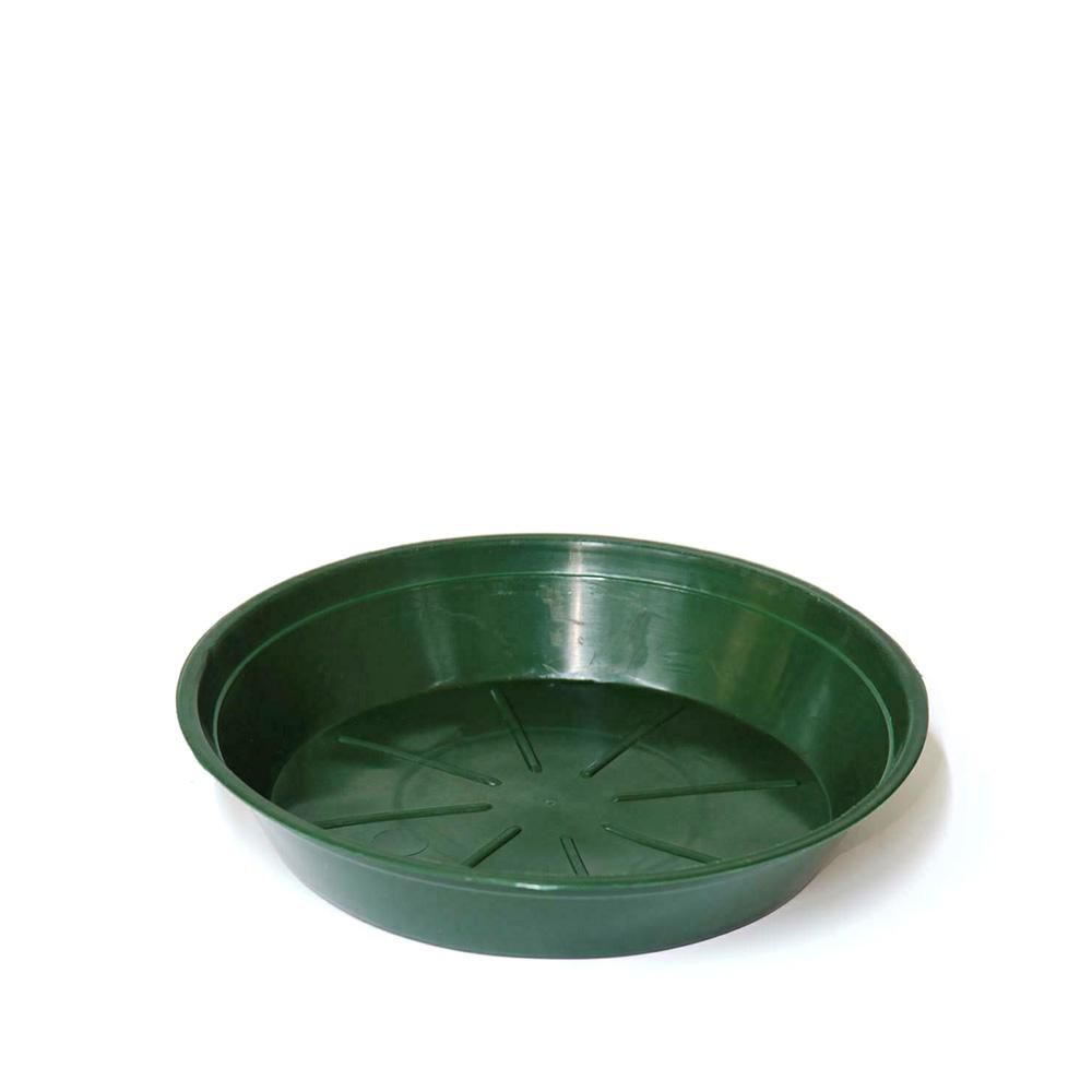 sottovaso-plastica-tondo-d-14-cm-h-28-cm-conf-pz-100-verde