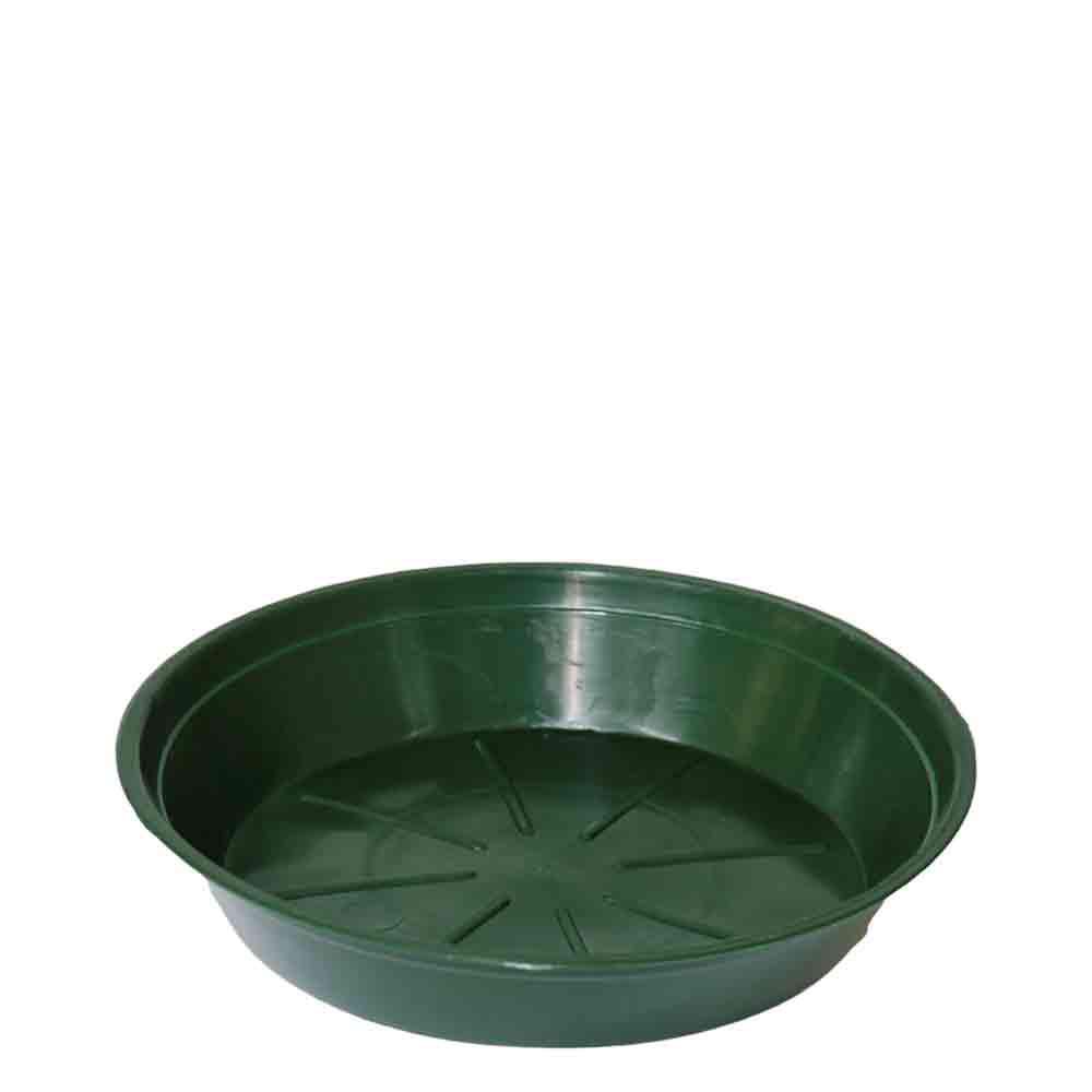 SOTTOVASO PLASTICA TONDO D.16 CM H.3 CM CONF.PZ.50 VERDE SOTTOVASO PLASTICA TONDO D.16 CM H.3 CM CONF.PZ.50 VERDE