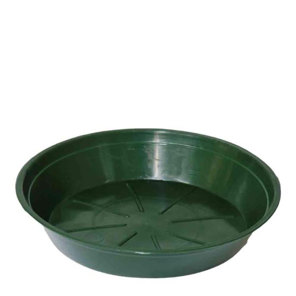 SOTTOVASO PLASTICA TONDO D.20 CM H.3,5 CM CONF.PZ.50 VERDE SOTTOVASO PLASTICA TONDO D.20 CM H.3,5 CM CONF.PZ.50 VERDE