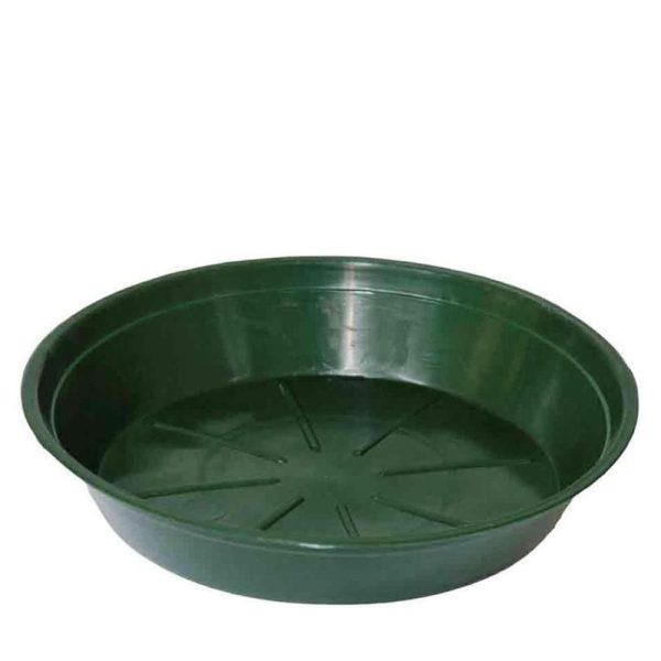 SOTTOVASO PLASTICA TONDO D.22 CM H.3,8 CM CONF.PZ.50 VERDE SOTTOVASO PLASTICA TONDO D.22 CM H.3,8 CM CONF.PZ.50 VERDE