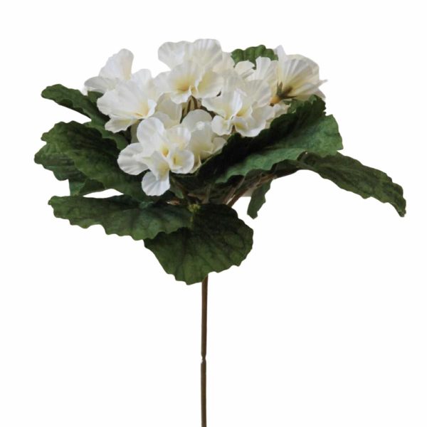 VIOLA BOUQUET BIANCO VIOLA BOUQUET BIANCO