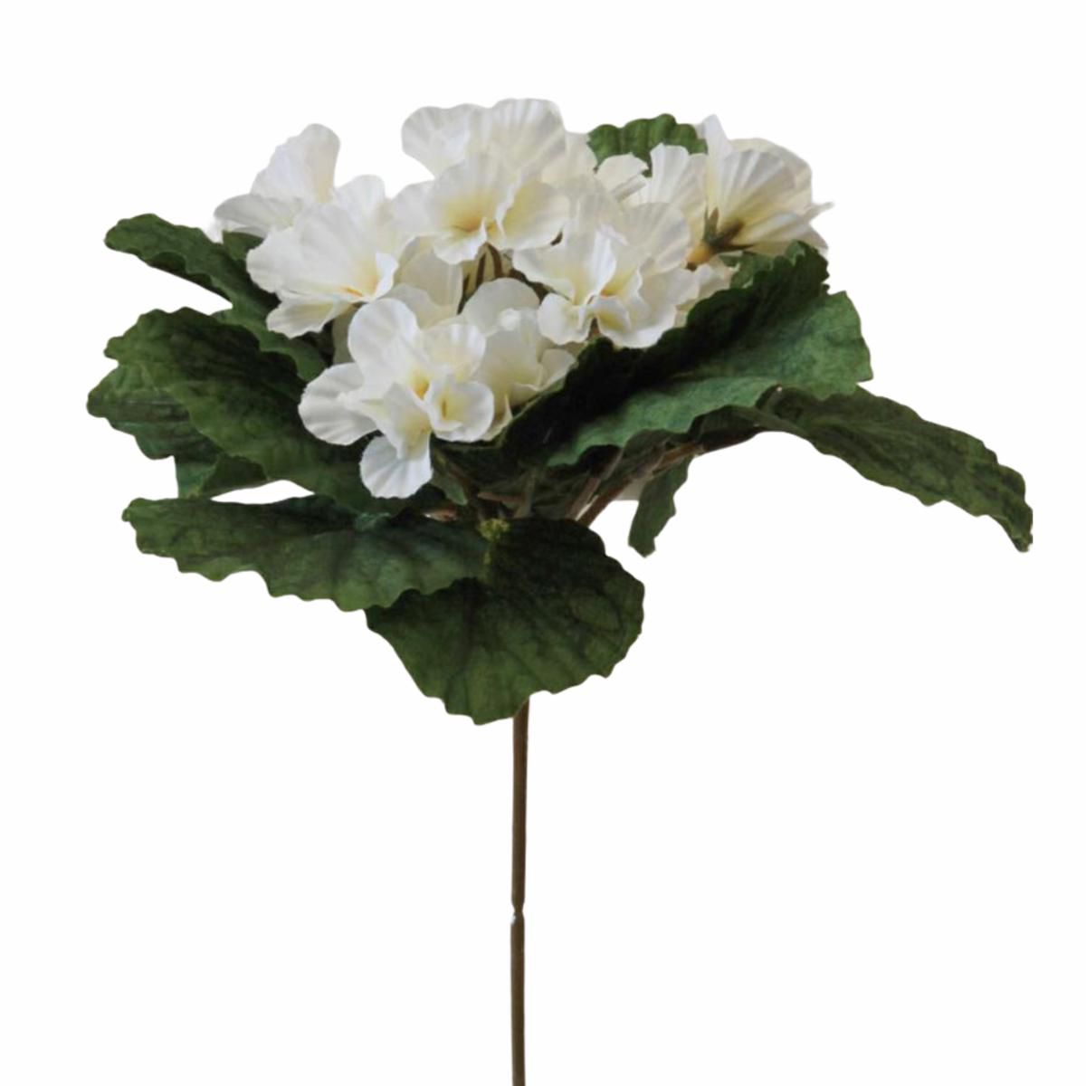 VIOLA BOUQUET BIANCO VIOLA BOUQUET BIANCO