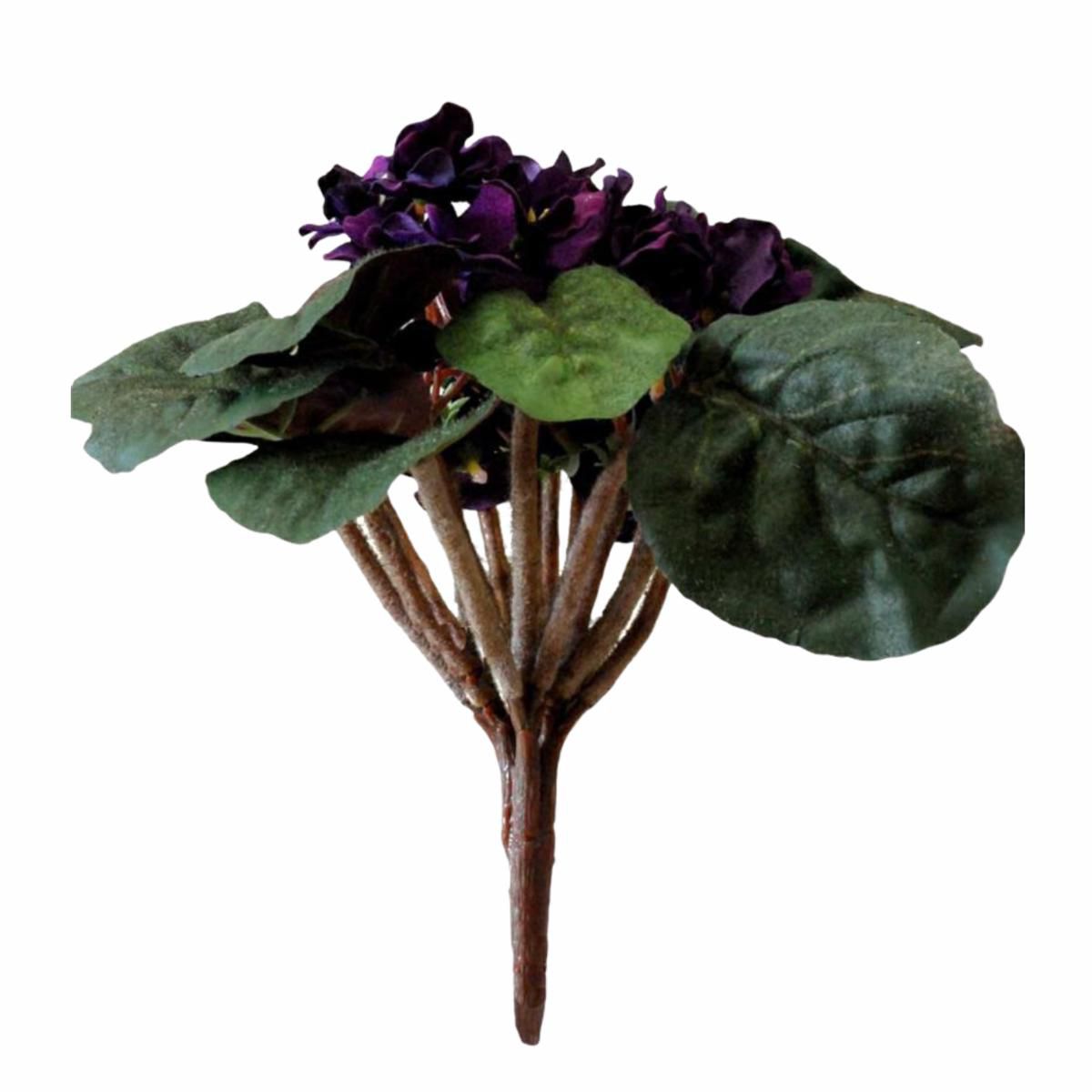 VIOLA BOUQUET PORPORA VIOLA BOUQUET PORPORA