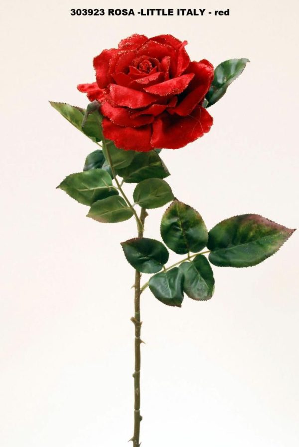 ROSA -LITTLE ITALY ROSSO M.