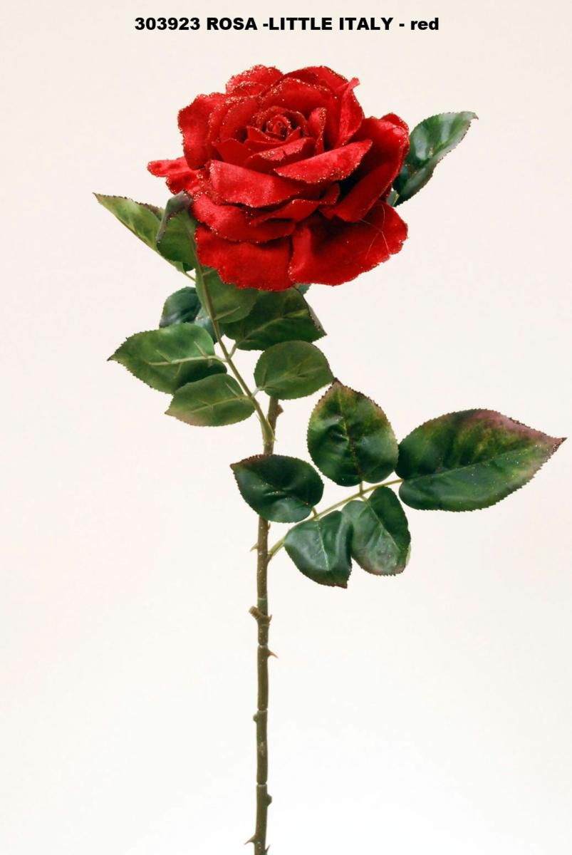 ROSA -LITTLE ITALY ROSSO M.