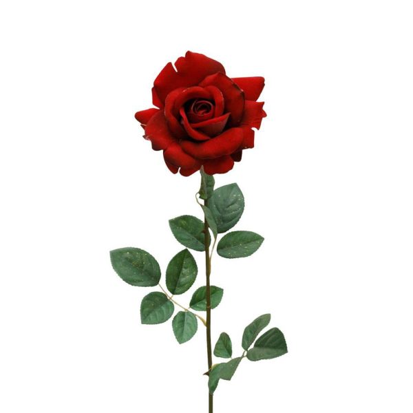 ROSA GRANDE-SOUVENIR ROSSO ROSA GRANDE-SOUVENIR ROSSO