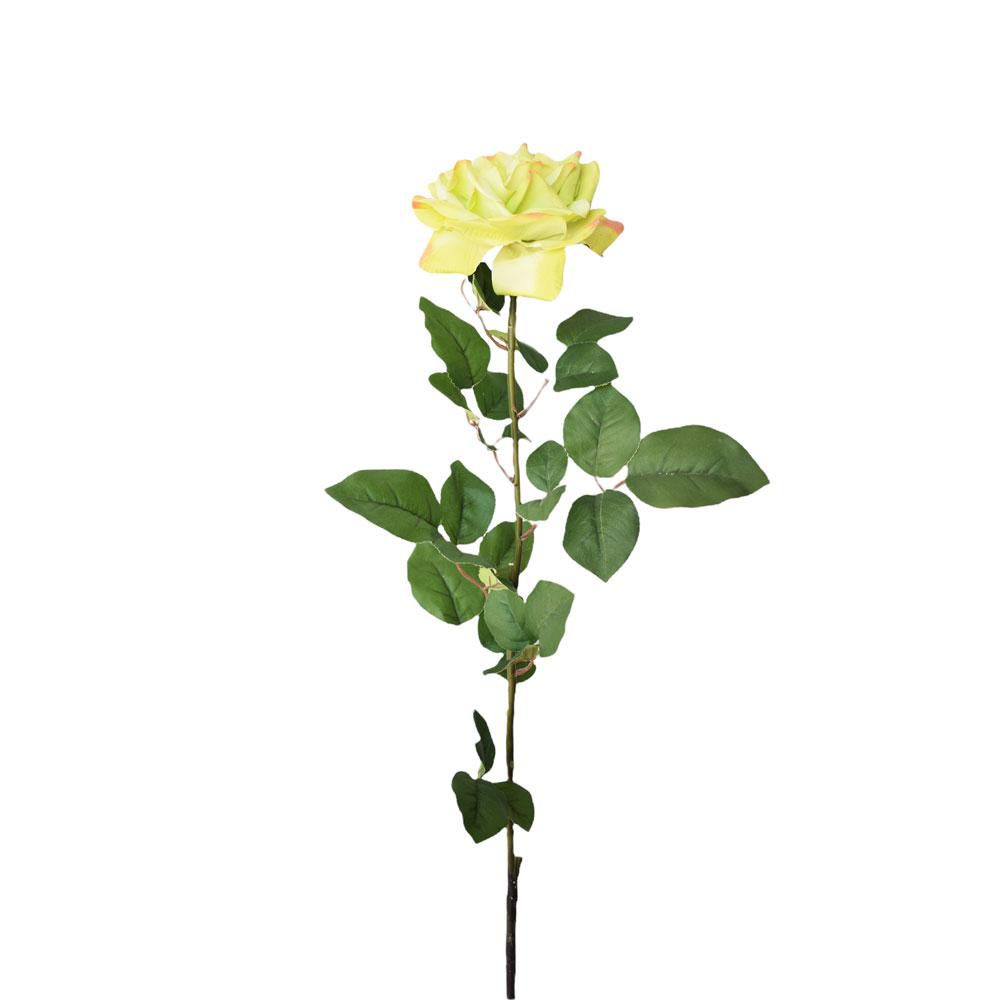 ROSA GARDEN-DREAMY- CM.95 VERDE ROSA GARDEN-DREAMY- CM.95 VERDE