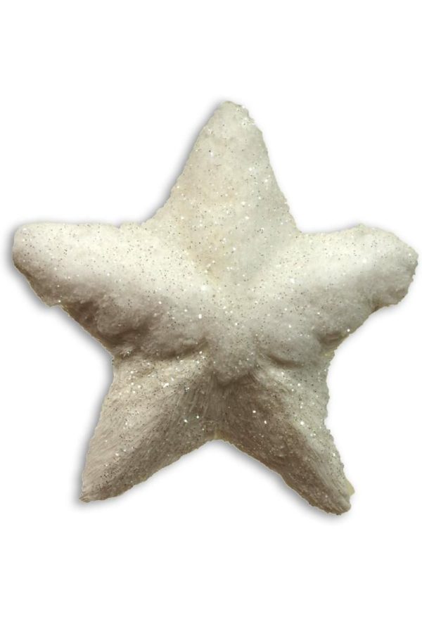 STELLA CM.18,5-COSE&COSE- BIANCO