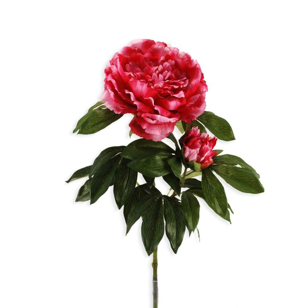 PEONIA JUMBO C/BOCCIOLO-ELITE-CM. 70 WINE PEONIA JUMBO C/BOCCIOLO-ELITE-CM. 70 WINE