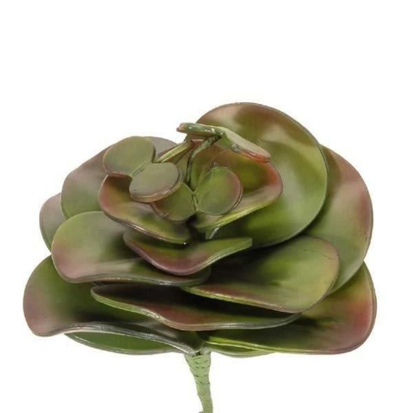 PIANTA GRASSA PICCOLA CM.21 VERDE PIANTA GRASSA PICCOLA CM.21 VERDE