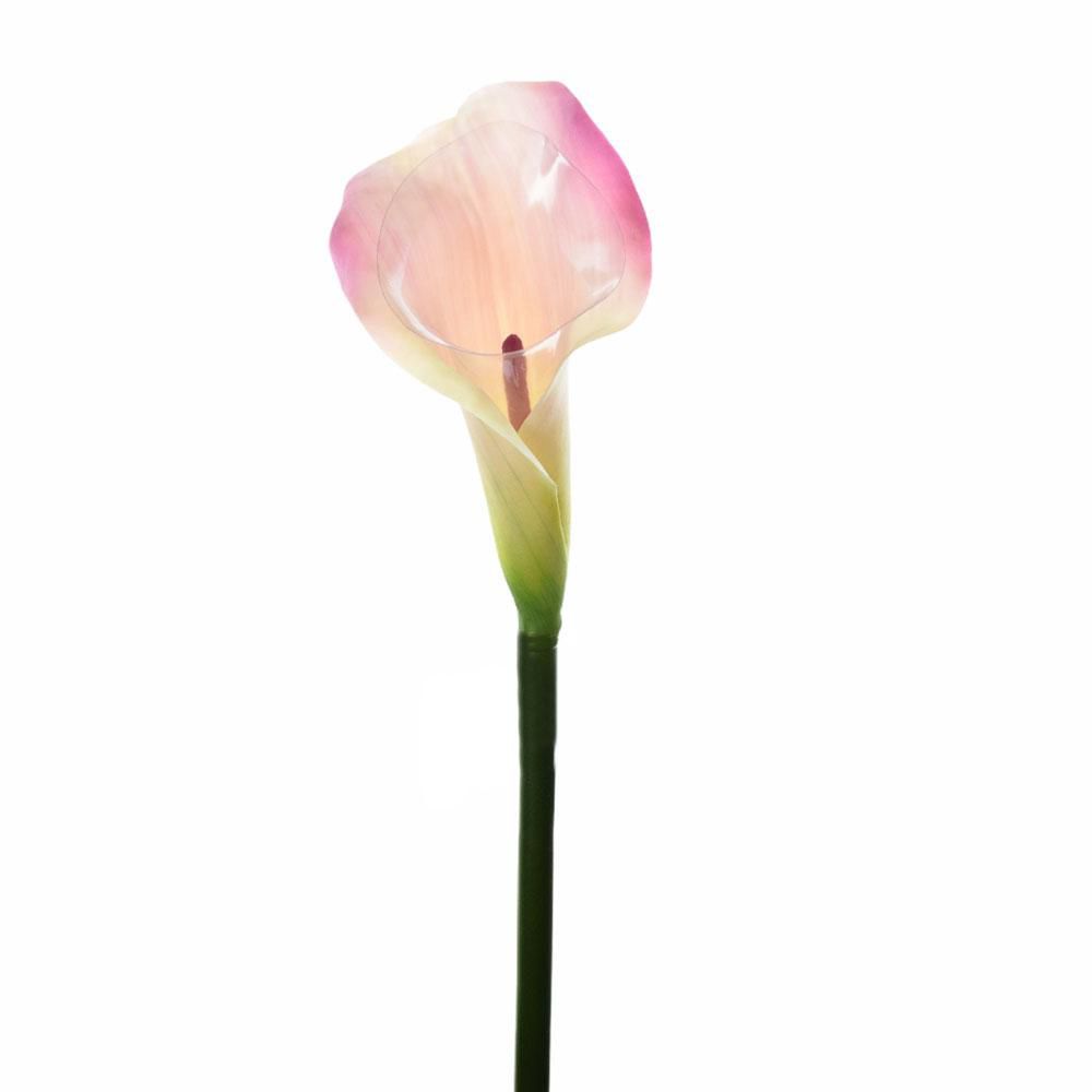 CALLA GRANDE CM.75 CREMA/LILLA CALLA GRANDE CM.75 CREMA/LILLA