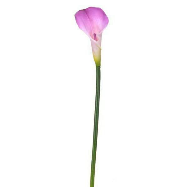 CALLA GRANDE CM.75 LILLA CALLA GRANDE CM.75 LILLA