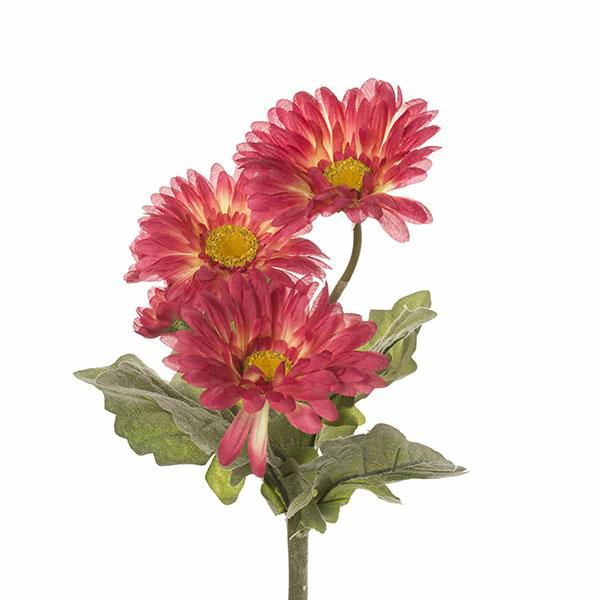 GERBERA BOUQUET 5F CM.40 BEAUTY