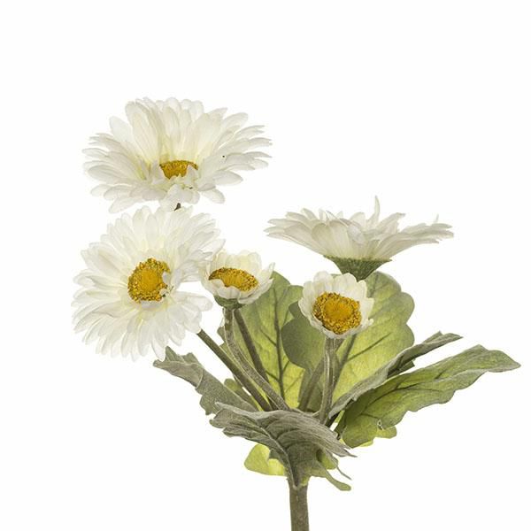 GERBERA BOUQUET 5F CM.40 CREMA GERBERA BOUQUET 5F CM.40 CREMA