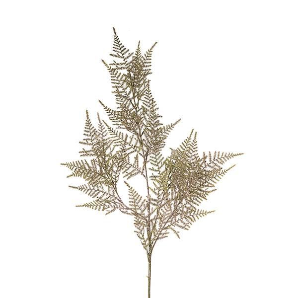 ASPARAGUS RAMO 4F CM.83GLITTER CHAMPAGNE ASPARAGUS RAMO 4F CM.83GLITTER CHAMPAGNE