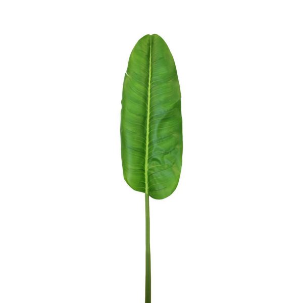 BANANO RAMO CM.141 VERDE BANANO RAMO CM.141 VERDE