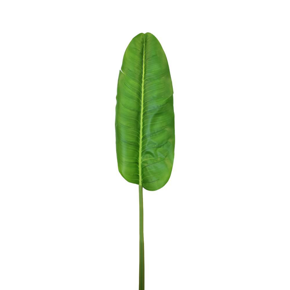 BANANO RAMO CM.141 VERDE BANANO RAMO CM.141 VERDE