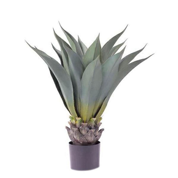 AGAVE PIANTA C/VASO 19F. CM.80 VERDE AGAVE PIANTA C/VASO 19F. CM.80 VERDE