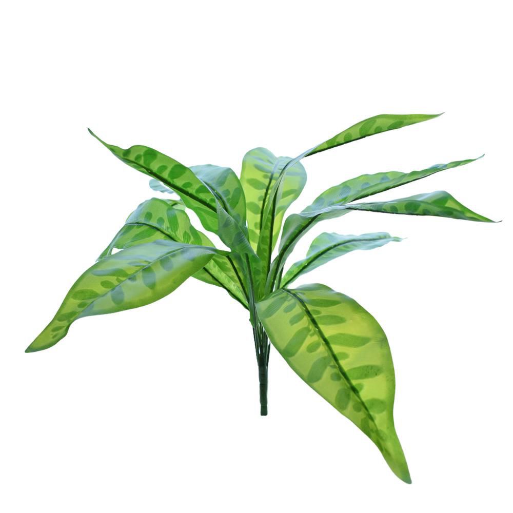 CALATHEA BUSH 9X CM.50 VERDE CALATHEA BUSH 9X CM.50 VERDE