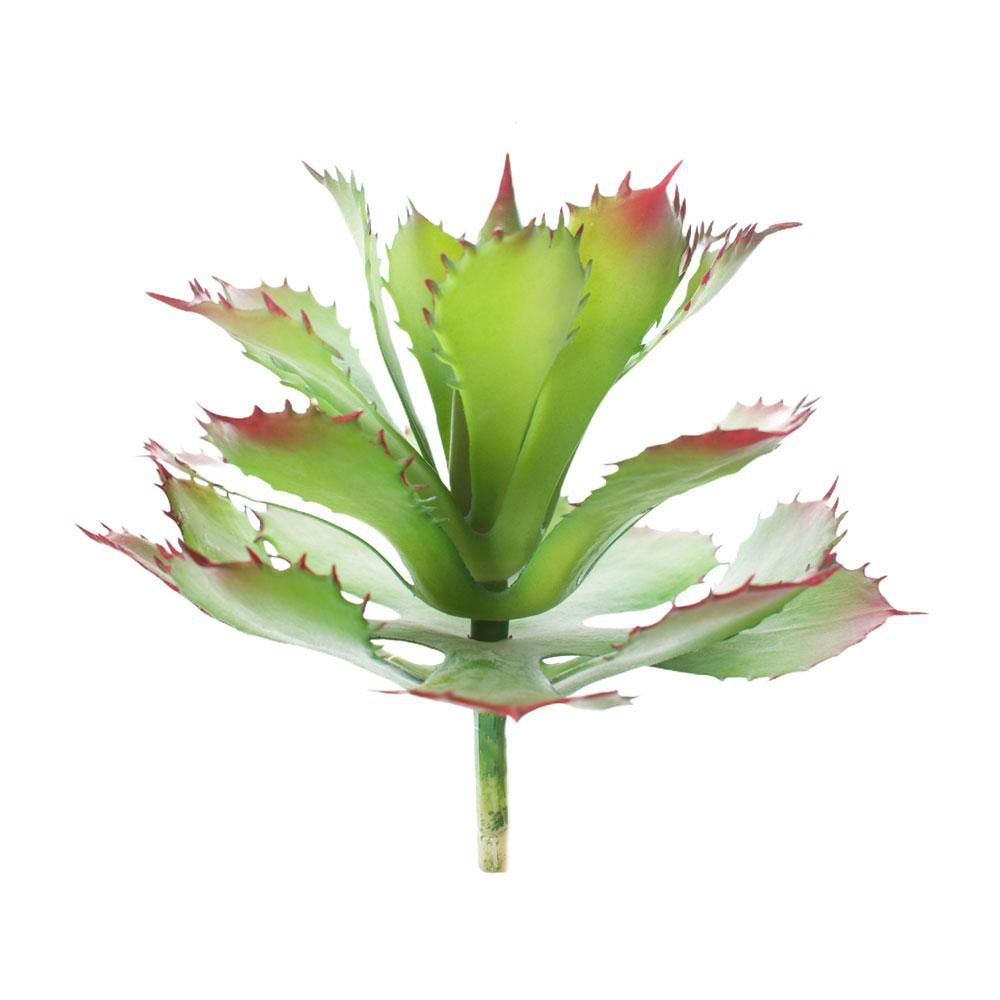 AGAVE PIANTA GRASSA CM.28 VERDE AGAVE PIANTA GRASSA CM.28 VERDE