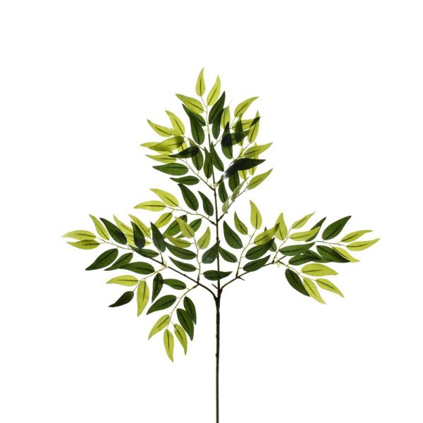 RAMO FOGLIE RUSCUS CM.66 VERDE RAMO FOGLIE RUSCUS CM.66 VERDE