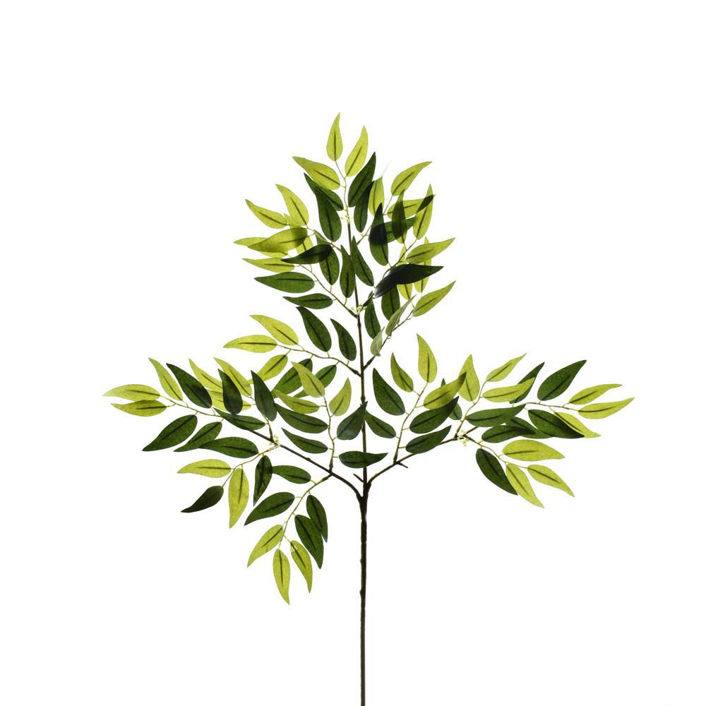 RAMO FOGLIE RUSCUS CM.66 VERDE