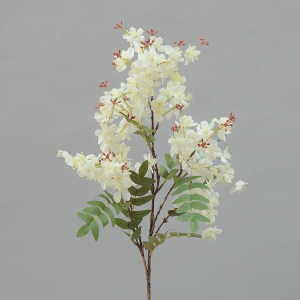 GLICINE RAMO CM.87 CREMA GLICINE RAMO CM.87 CREMA