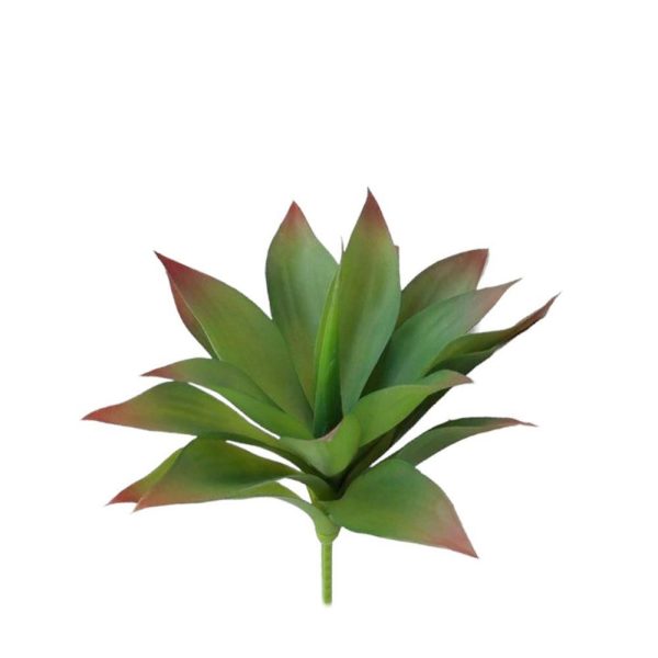 AGAVE PIANTA CM.36 VERDE AGAVE PIANTA CM.36 VERDE