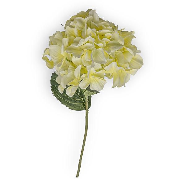 HYDRANGEA RAMO CM.74 VERDE