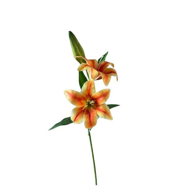 LILIUM RAMO CM.73 ARANCIO LILIUM RAMO CM.73 ARANCIO