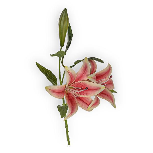 LILIUM RAMO CM.73 ROSA LILIUM RAMO CM.73 ROSA