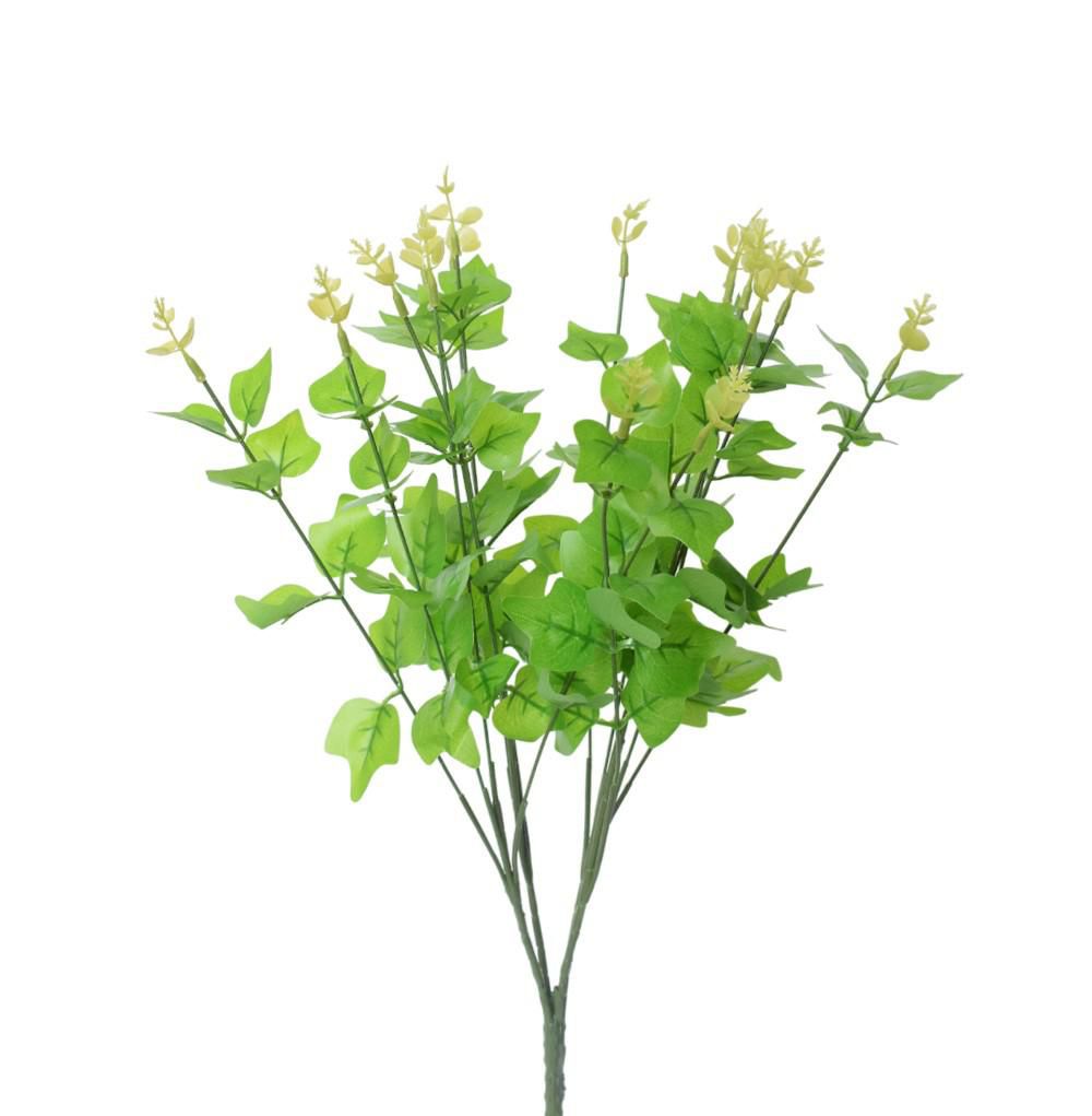 EDERA BUSH CM.50 VERDE