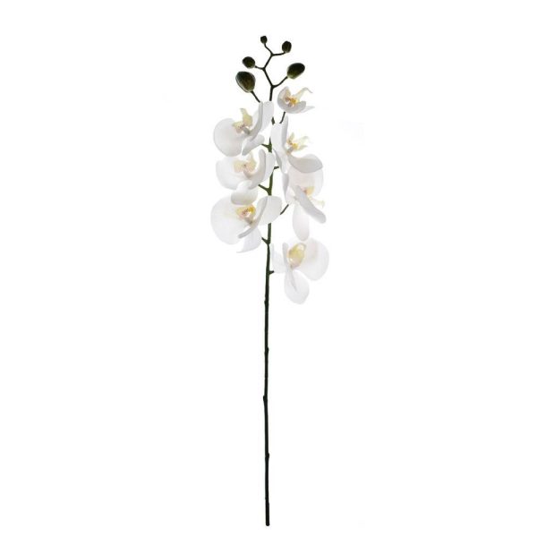 PHALAENOPSIS REAL TOUCH7F CM.70 BIANCO PHALAENOPSIS REAL TOUCH7F CM.70 BIANCO