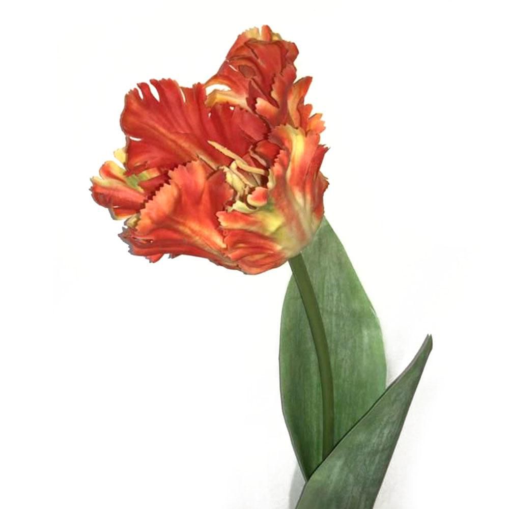TULIPANO PARROT FRESH LOOK CM.65 ARANCIO TULIPANO PARROT FRESH LOOK CM.65 ARANCIO