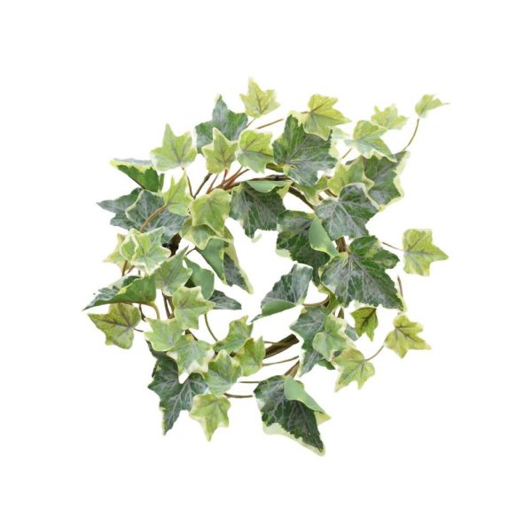 EDERA CORONA D.25 CM. VARIEGATO EDERA CORONA D.25 CM. VARIEGATO