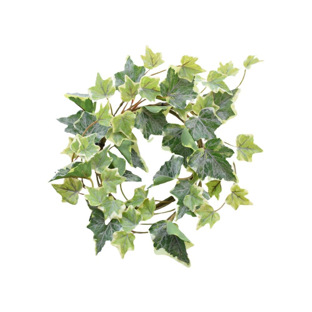 EDERA CORONA D.25 CM. VARIEGATO EDERA CORONA D.25 CM. VARIEGATO