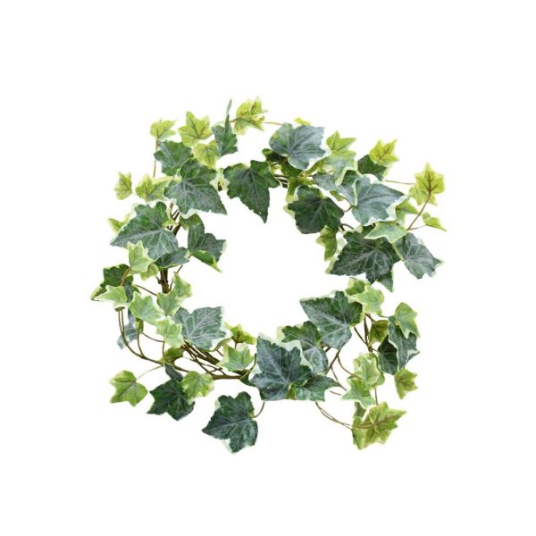 EDERA CORONA D.30 CM. VARIEGATO EDERA CORONA D.30 CM. VARIEGATO