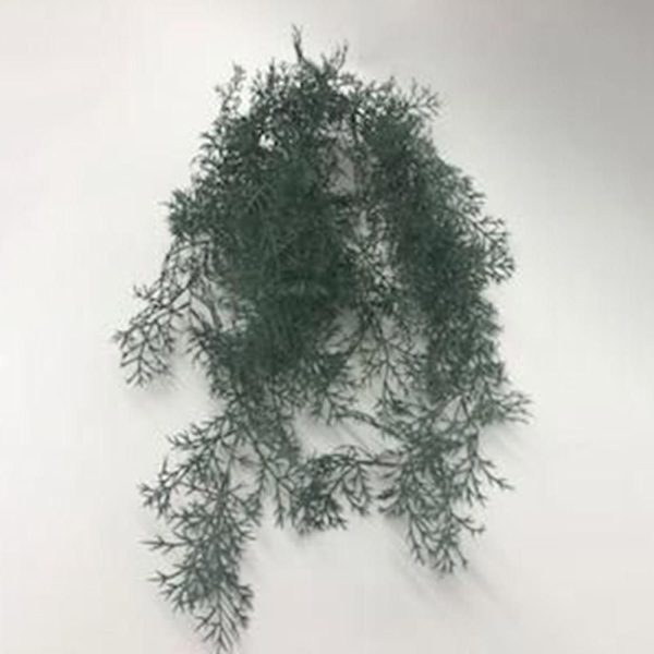 TUJA VINTAGE BUSH CM.80VERDE TUJA VINTAGE BUSH CM.80VERDE