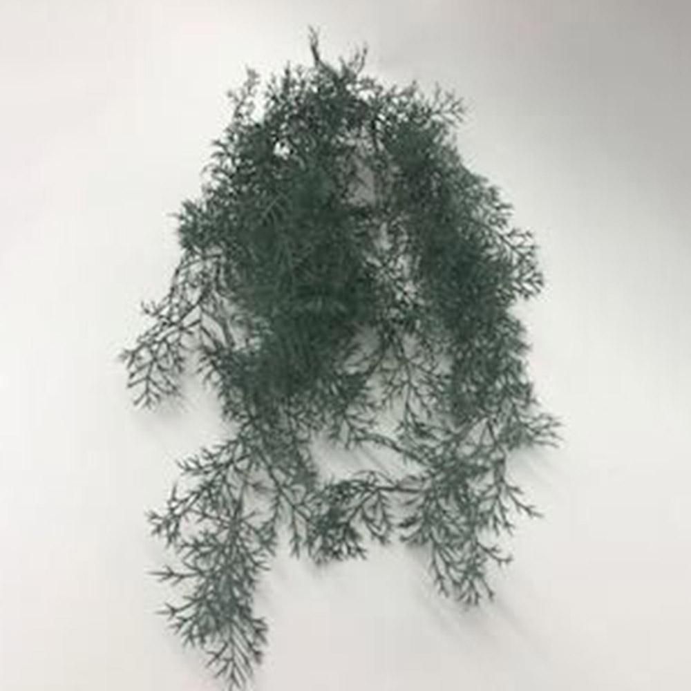 TUJA VINTAGE BUSH CM.80VERDE TUJA VINTAGE BUSH CM.80VERDE