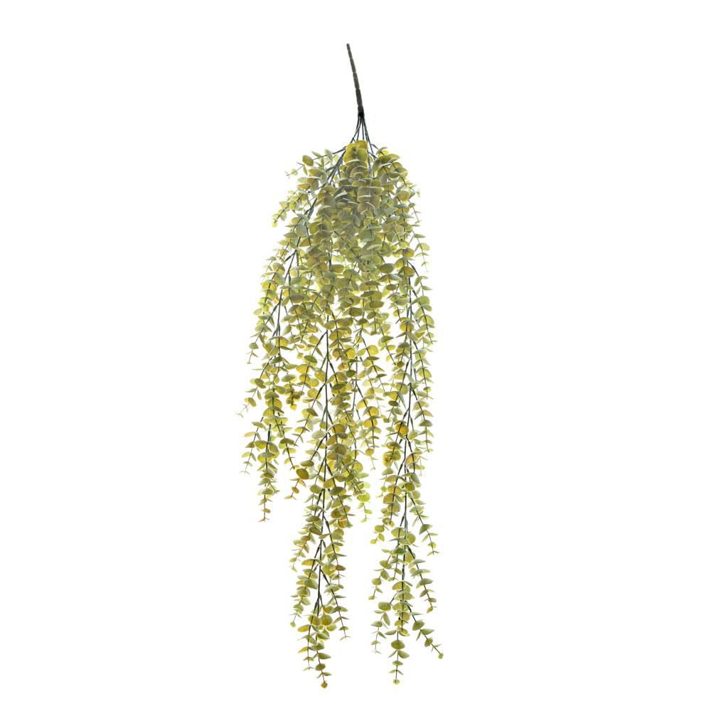 EUCALYPTO POPULUSVINE FROSTED BUSH CM.80 VERDE