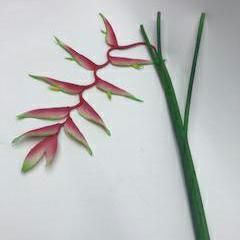HELICONIA GIANT RAMO CM183 VINE PINK HELICONIA GIANT RAMO CM183 VINE PINK