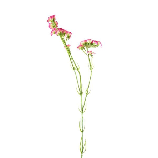 STATICE SPRAY 3X CM.63 BEAUTY STATICE SPRAY 3X CM.63 BEAUTY