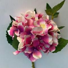 HYDRANGEA -PROVENZA- CM.45 FUCSIA