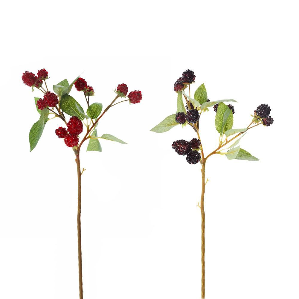 MORA PICK CM.40 ASSORTITO